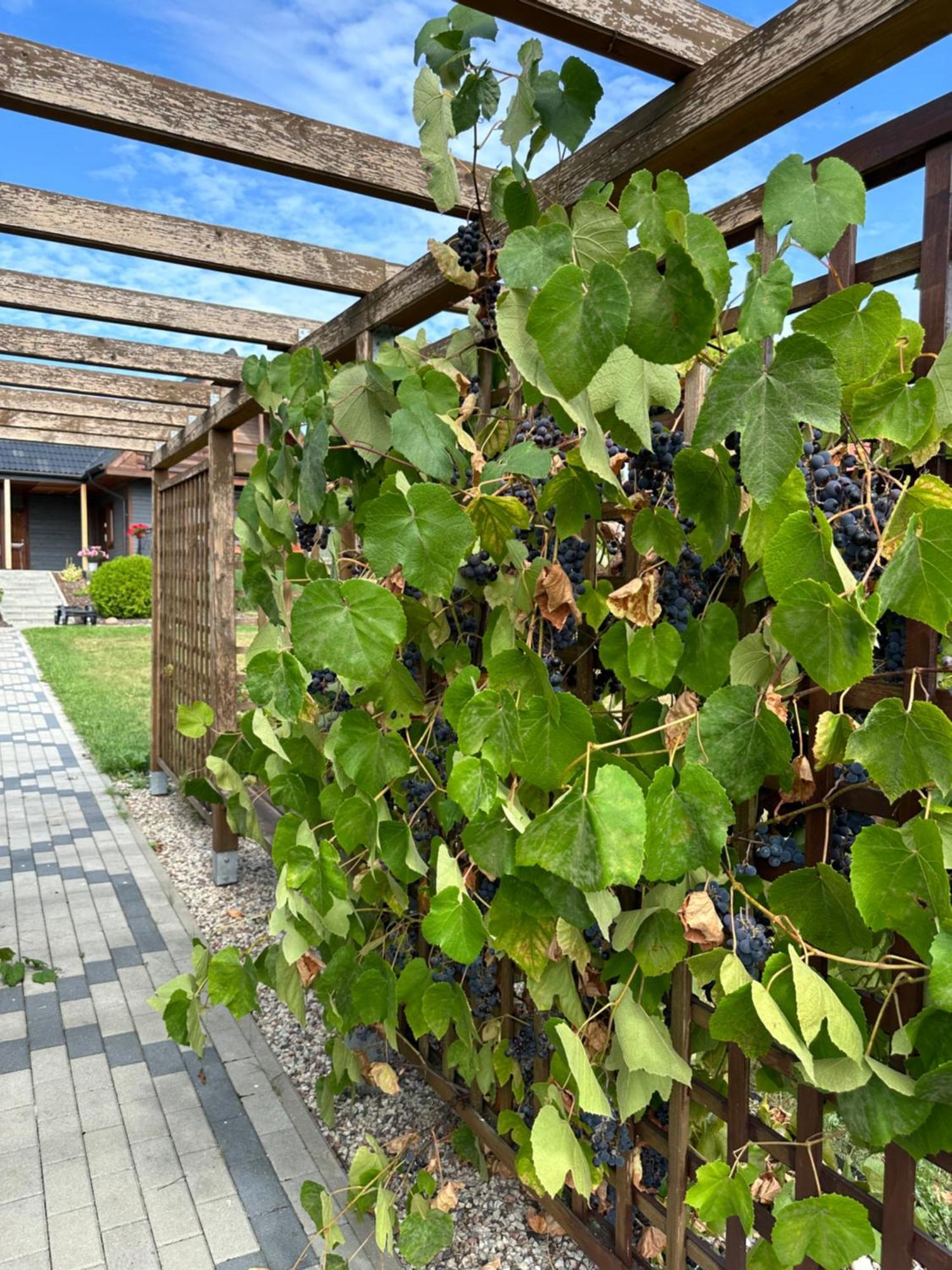 Villa Rajska Przystan II Wrony Esterno foto