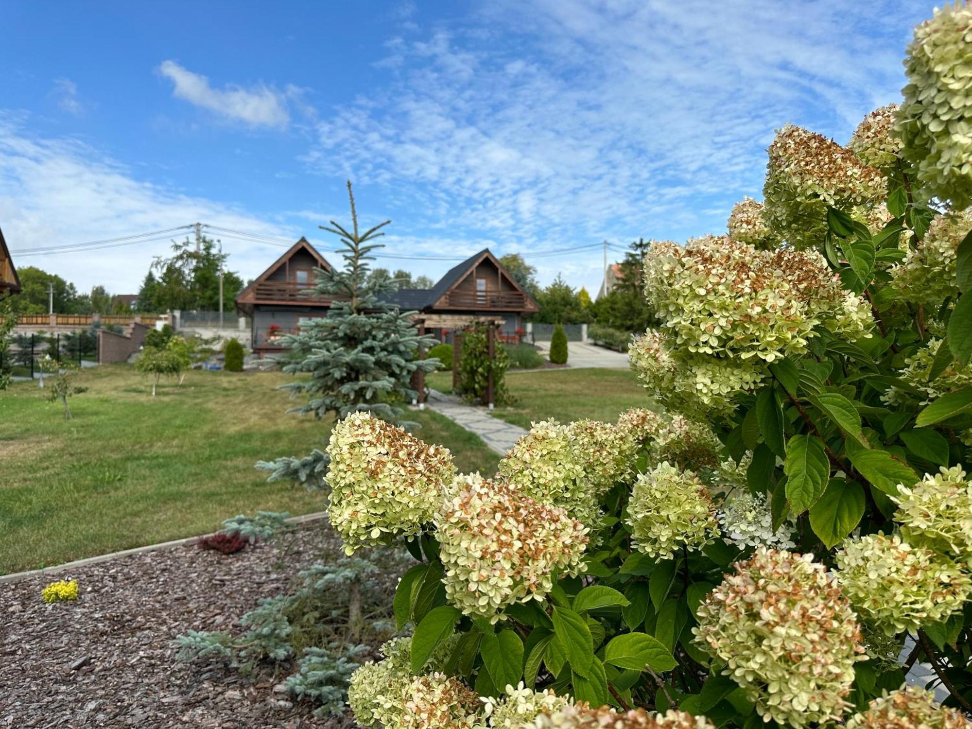 Villa Rajska Przystan II Wrony Esterno foto